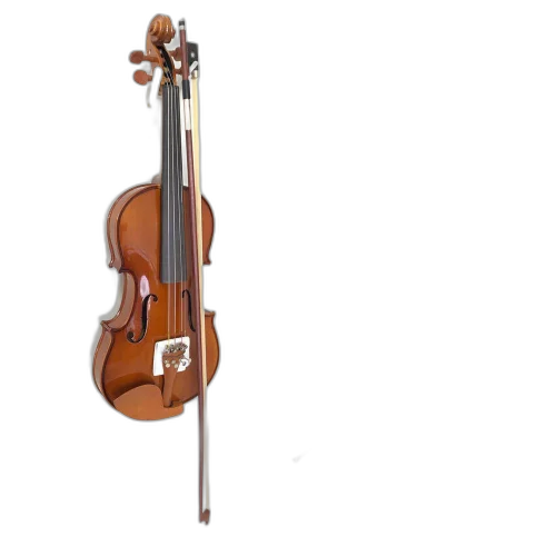 Violino 4/4 Ve441 Eagle + Estante De Partitura Tuner Music