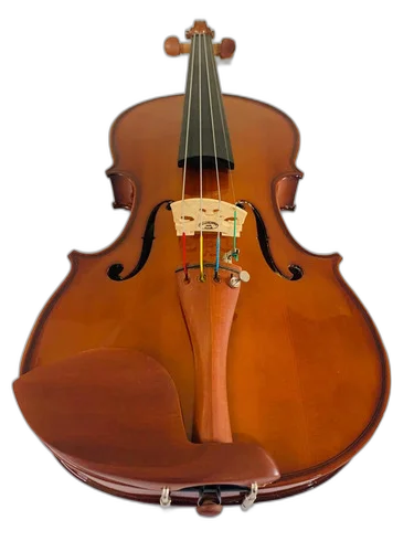 Violino 4/4 Ve441 Eagle + Estante De Partitura Tuner Music
