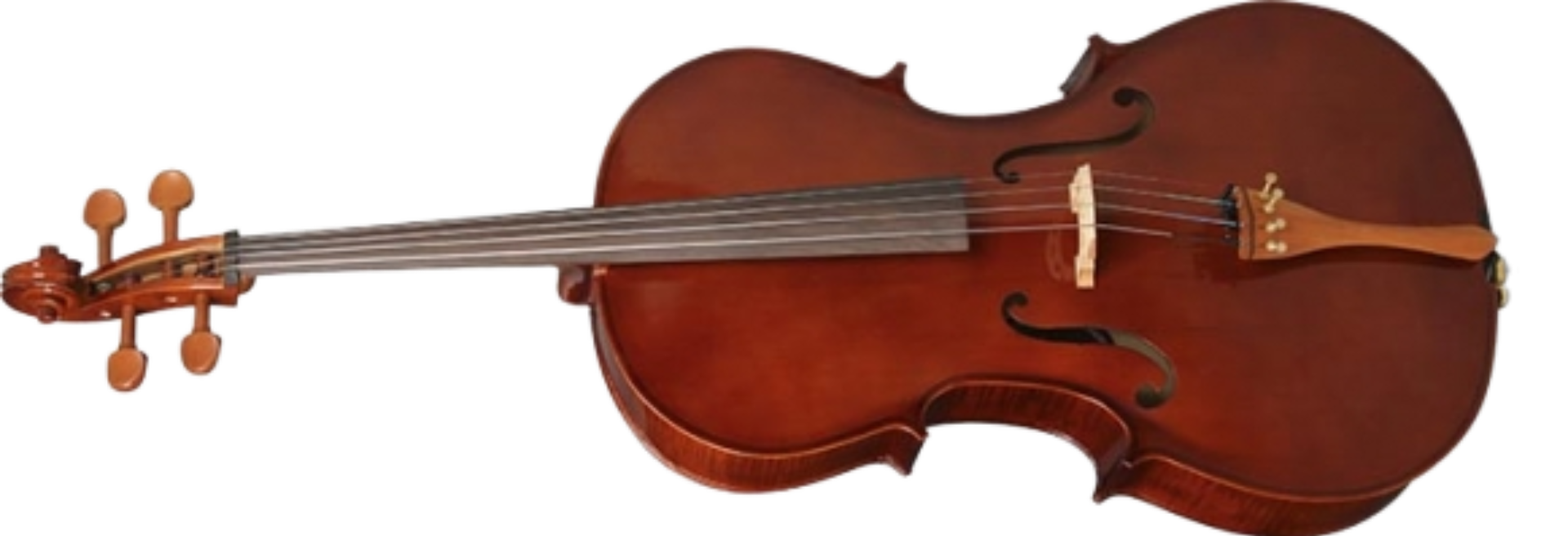 Violoncelo Hofma HCE100 4/4