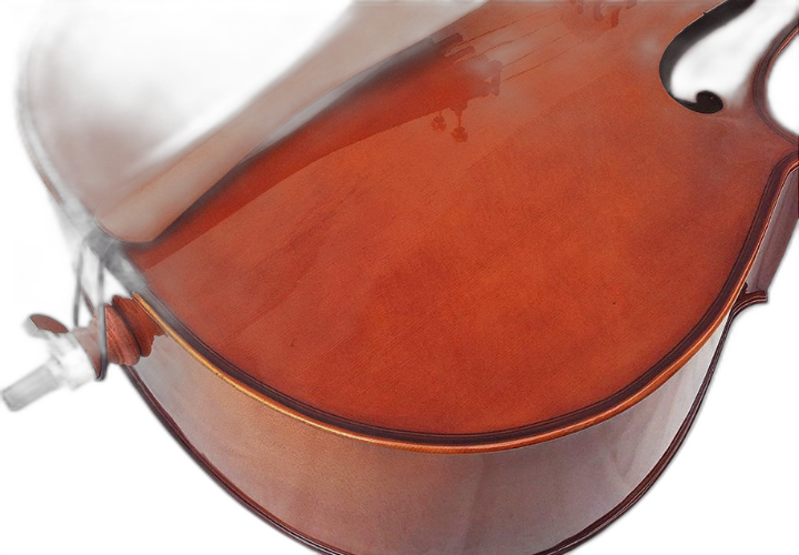 Braço Maple