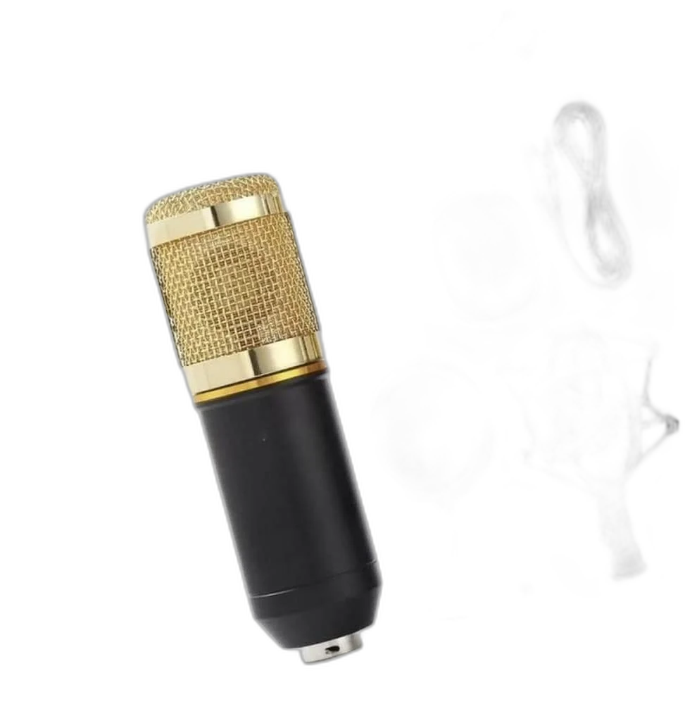 Kit Microfone Estúdio BM800 + Pop Filter + Aranha + Braço Articulado – Leboss