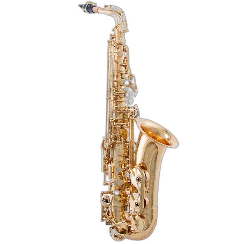 Saxophone Alto Profissional Waldman, Mi Bemol com Case e Acessórios, Molas Blue Steel Mod WSA GD/OL