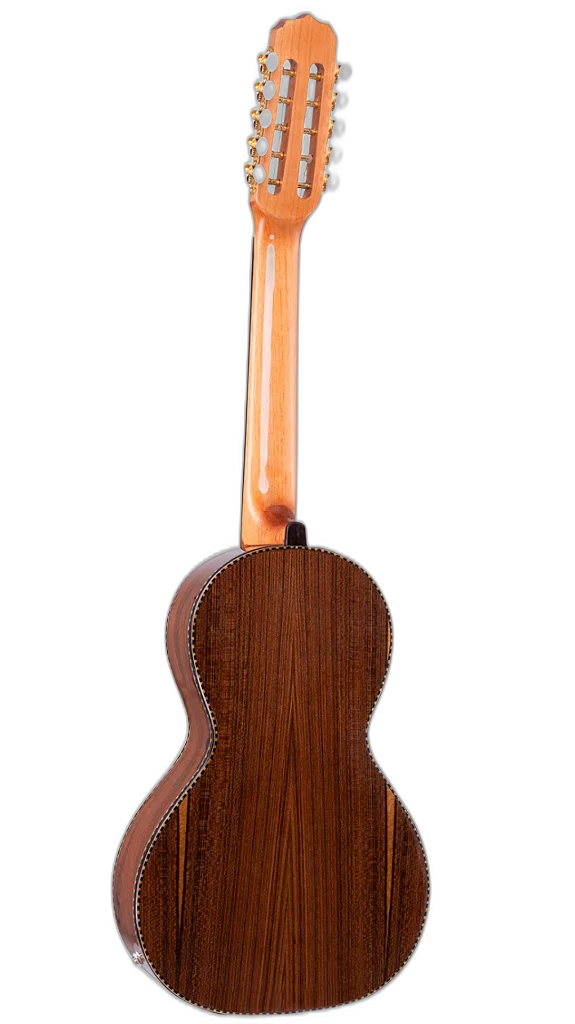 Viola Elétrica Rozini RV315 Presença Brasil FPP.N.LP