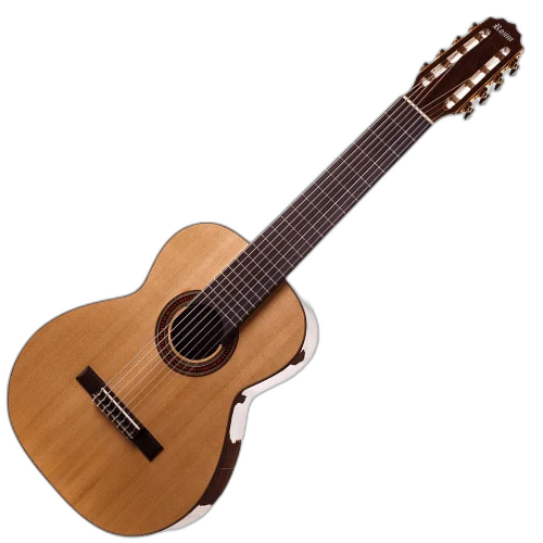 Violão Elétrico Rozini Profissional 8 Cordas RX228.AT.N.J EQ