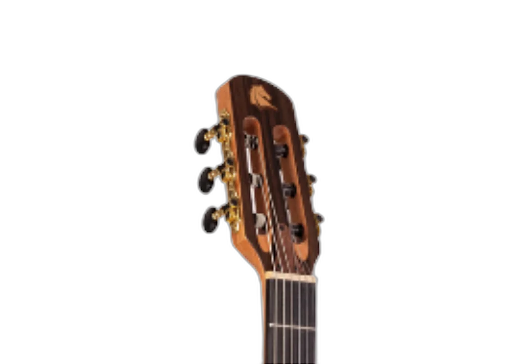 Design Cutaway Premium