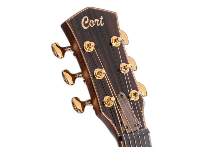 Tampo Master Grade Solid European Spruce