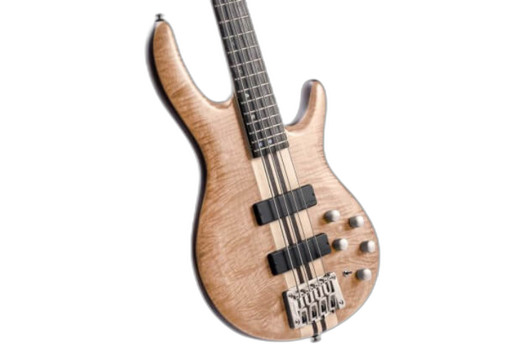 Tampo Figured Maple