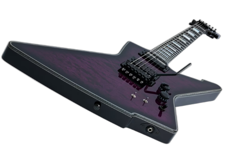Ponte Floyd Rose Special