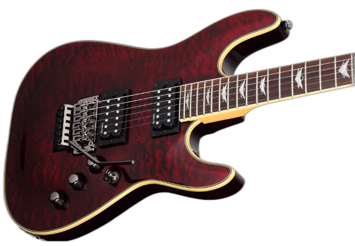 Ponte Floyd Rose Special