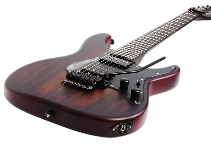 Ponte Floyd Rose Special