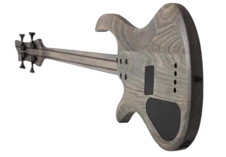 Tampo Maple Burl