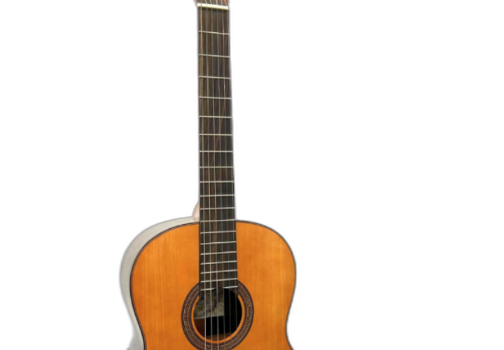 Corpo Rosewood