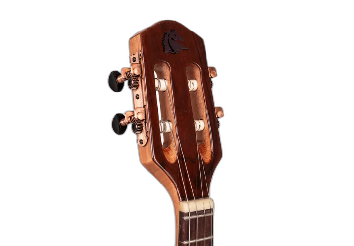 Banjo Marquês Musical BAJ93 CT EL com Captador Passivo Cap-06 e Aro Envelhecido