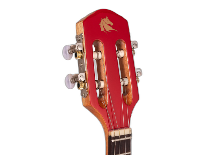 Braço Cedro & Rosewood