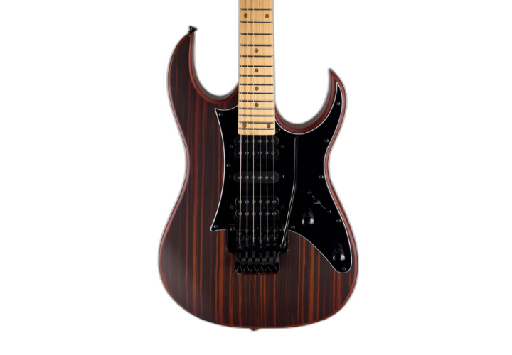 Escala Roasted Maple 24 Trastes