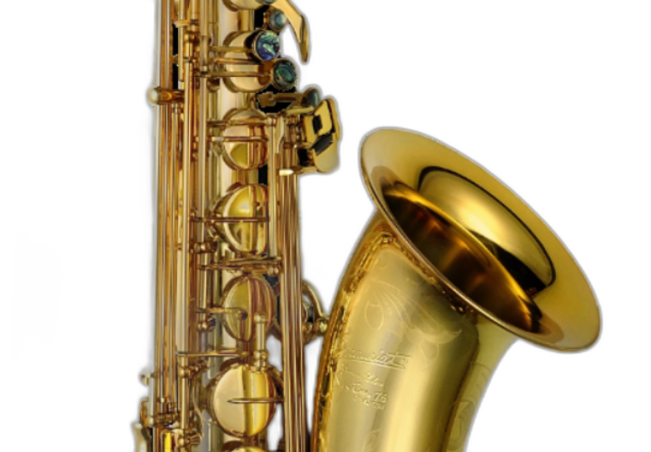 Tubo de Corpo Ampliado Gold Lacquer