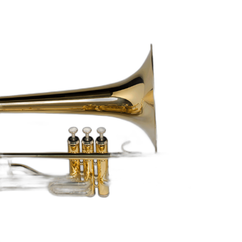 Botões Perolados Contrapeso