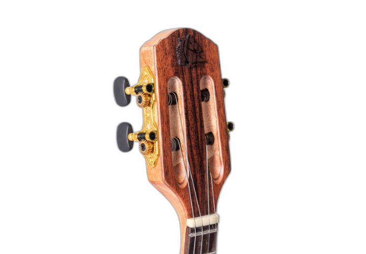 Braço Cedro e Escala Rosewood