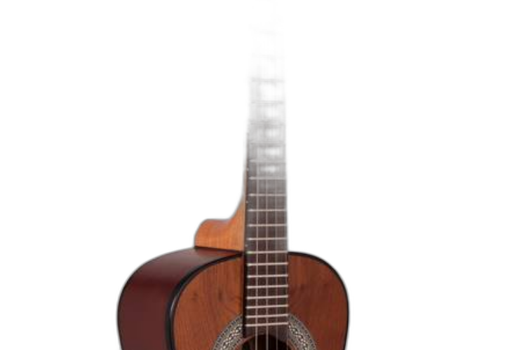 Braço Cedro e Escala Rosewood