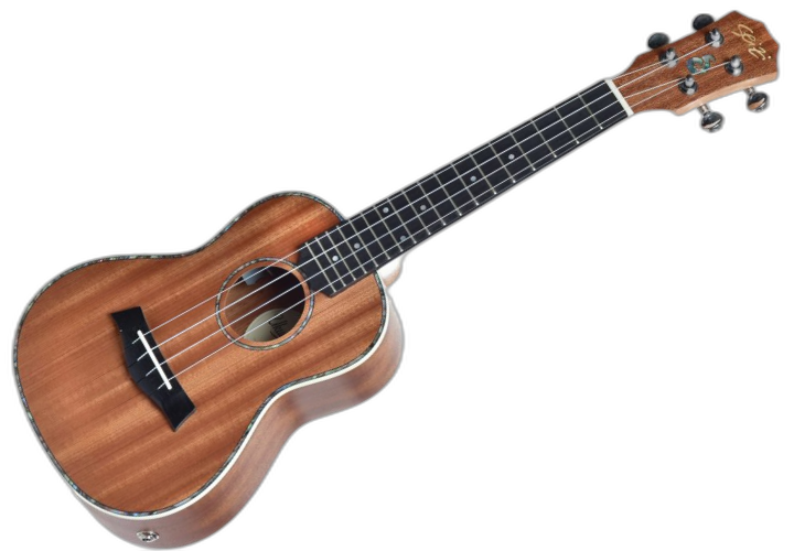Corpo Ukulele Concerto Sapele com Roseta em Abalone