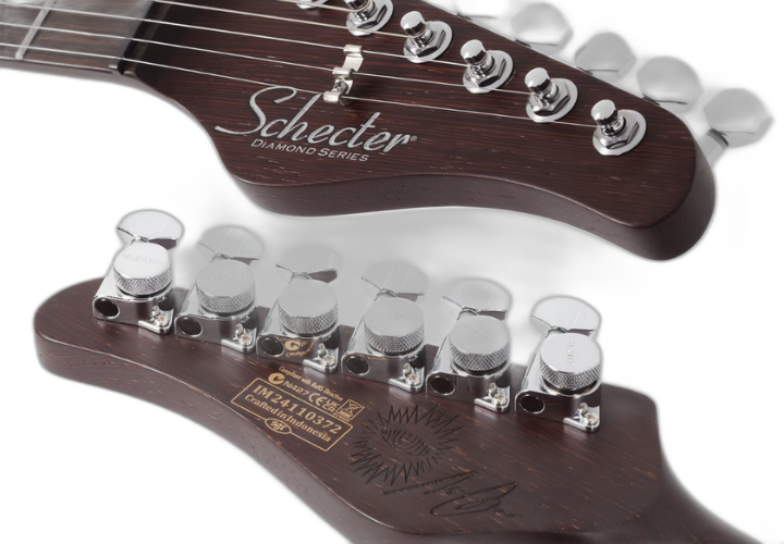 Braço Wenge Bolt-on e Escala Ébano com 22 Jumbo Stainless Steel Frets