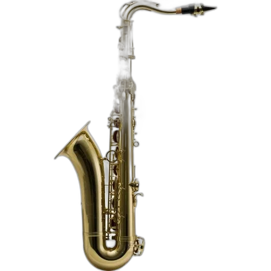 Saxofone Harmonics BB HTS-100L Tenor Laqueado