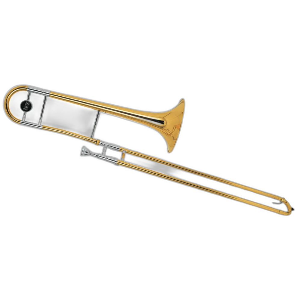 Trombone De Vara Tb 200v Laqueado Dourado Com Case New York